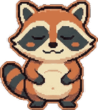 raccoon, fed